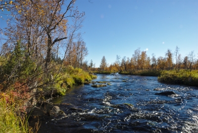 Näkkäläjoki