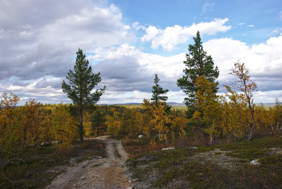 Hiking to Olkojärvi