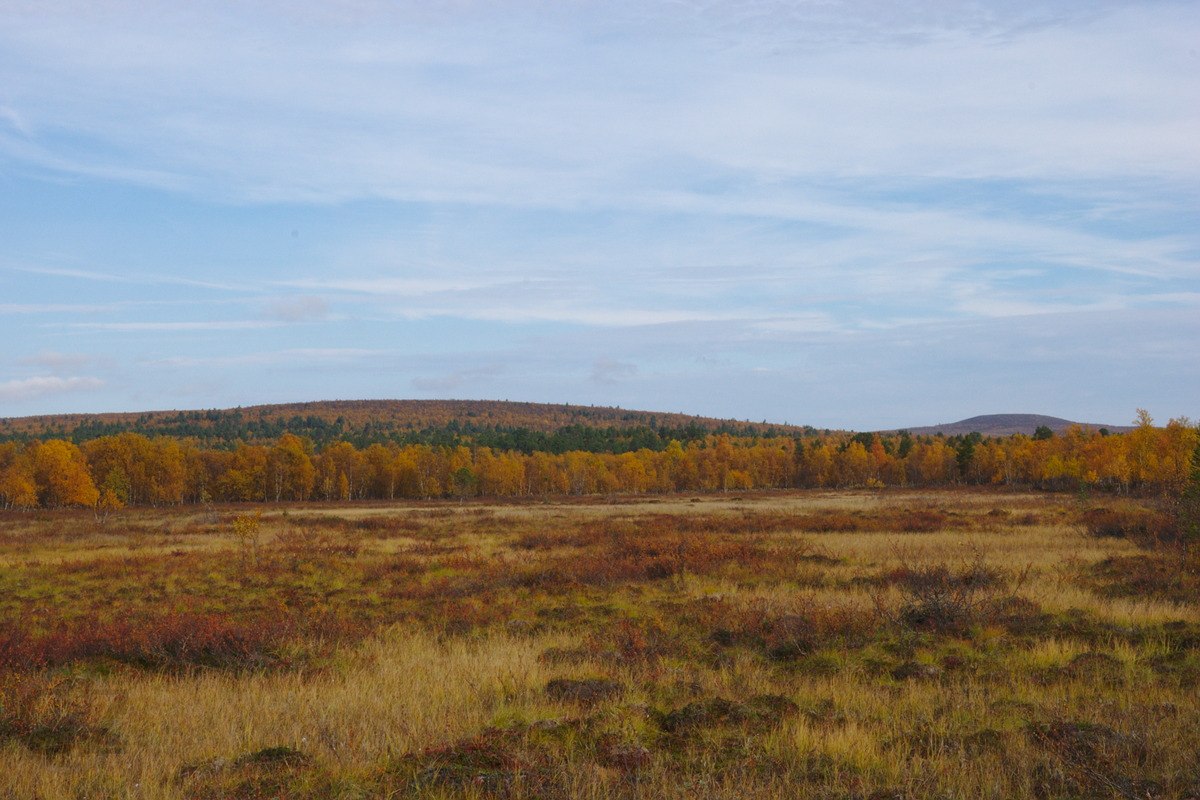 Near Näkkäläjoki