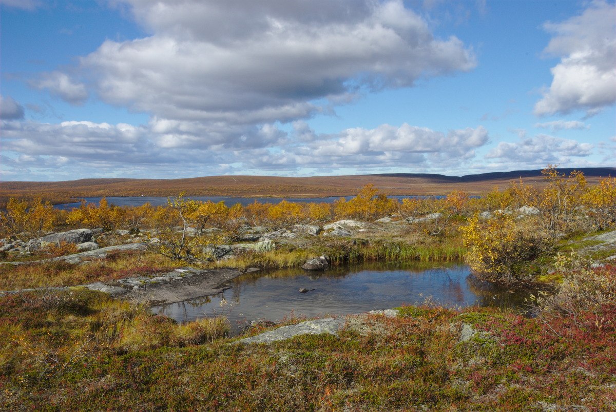 Olkojärvi