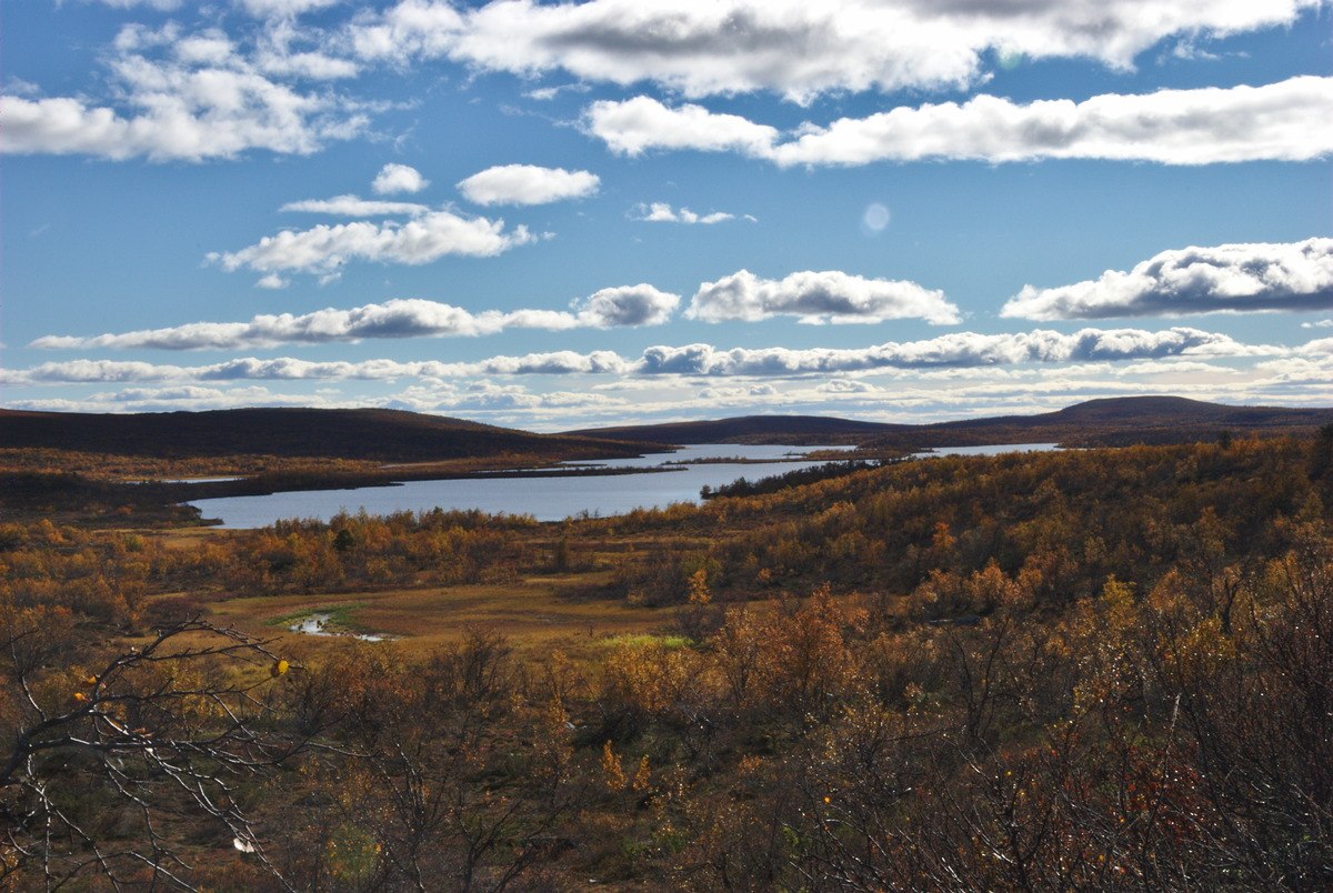 Olkojärvi