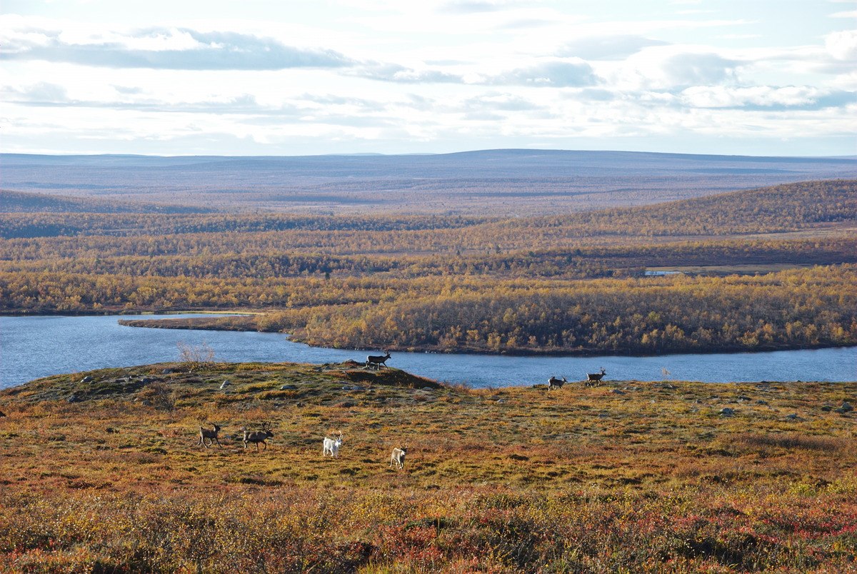Olkojärvi