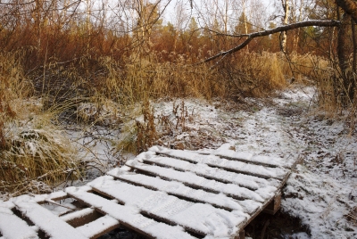 Bridge