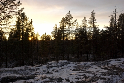 Along Pahtajärvi Trail