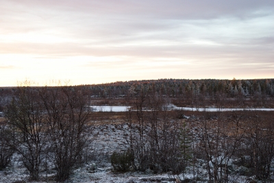 Närpistöjoki