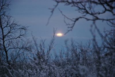 Rising Moon