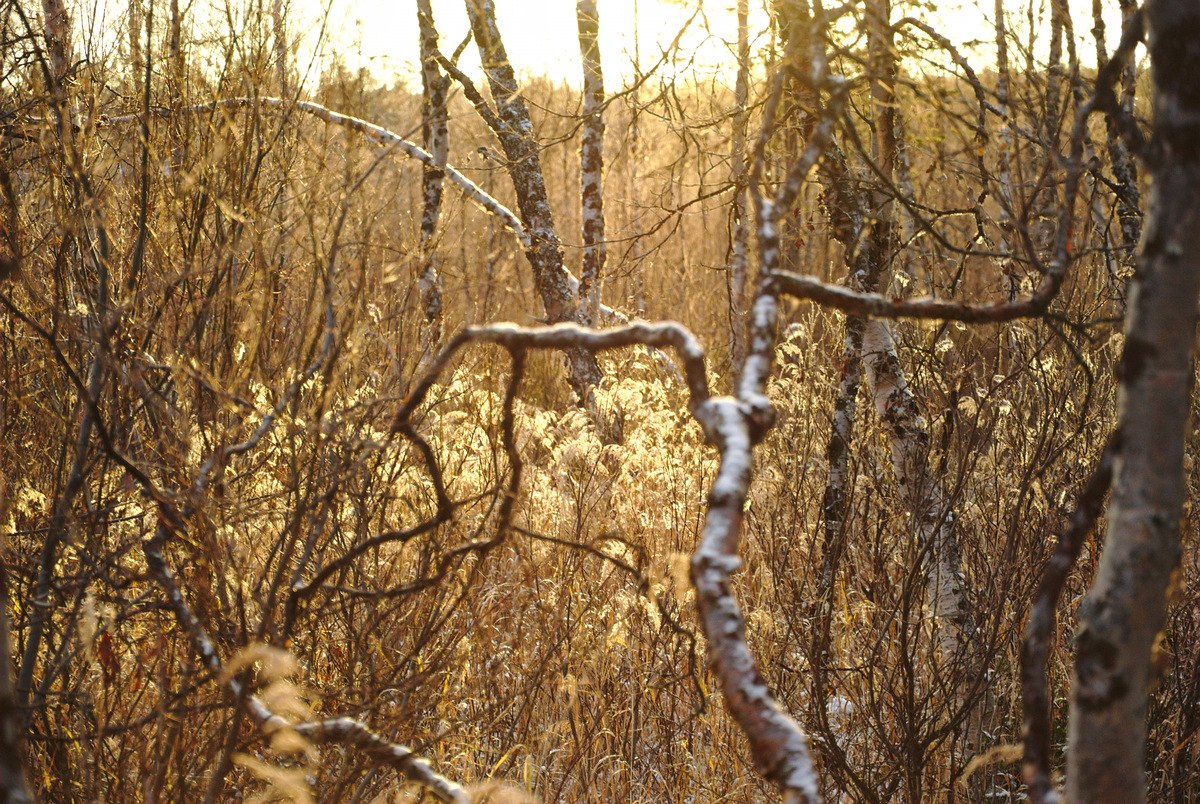 Pahtajärvi Trail