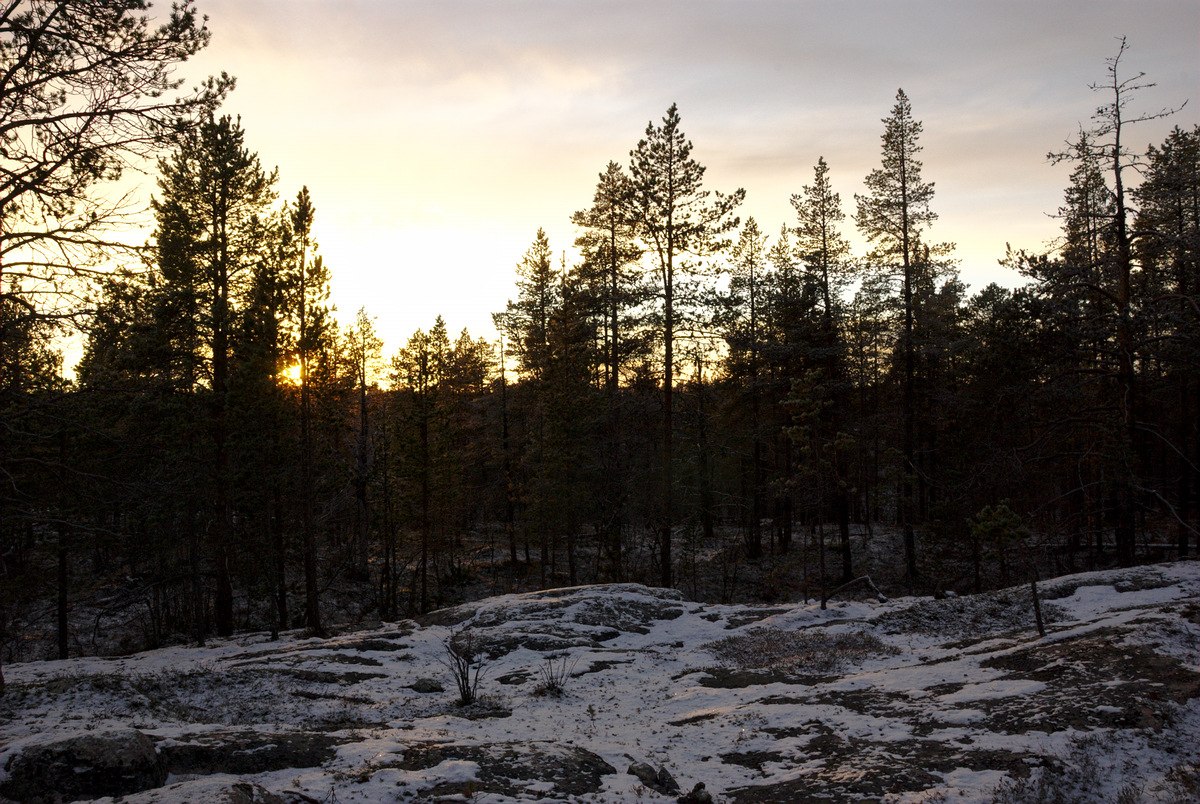 Along Pahtajärvi Trail