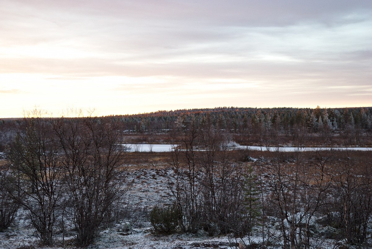 Närpistöjoki