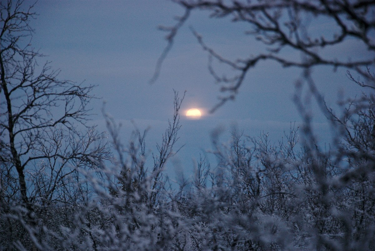 Rising Moon