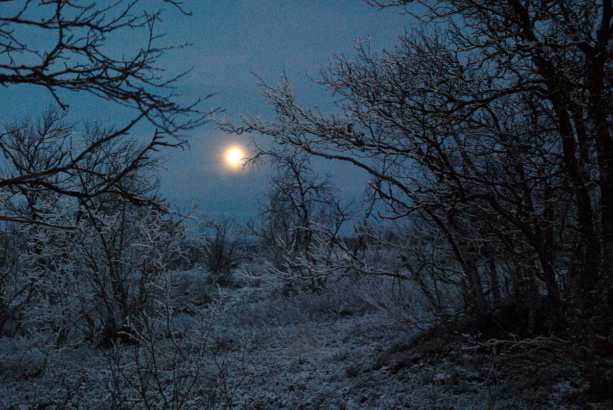 Moon