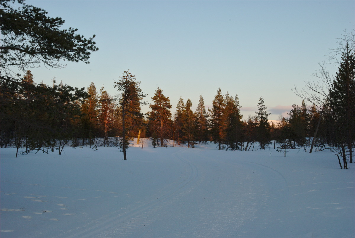 Sammalvaara Skiing Trail