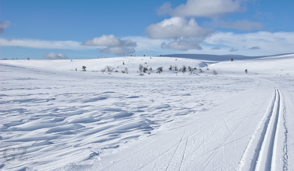 skiing tracks in the fells