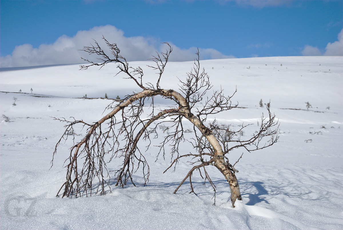 Skiing to Hannukuru