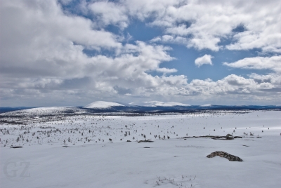 Pallastunturi