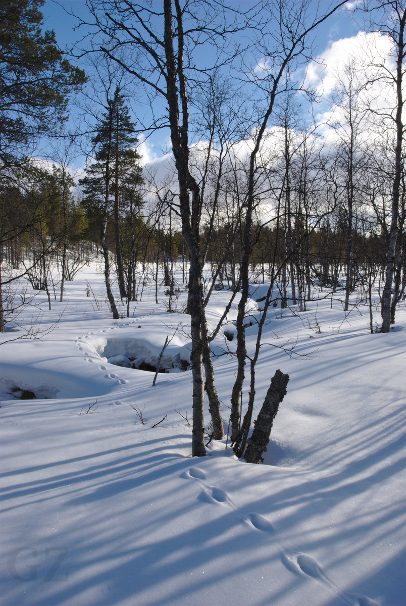 Skiing to Hannukuru