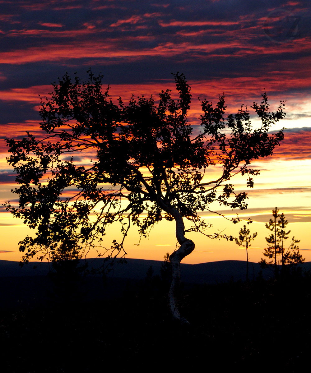 Night sky on Pyhäkero