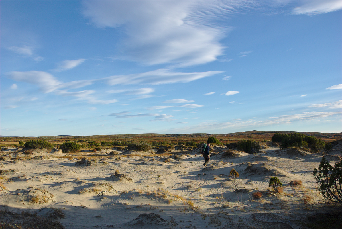 Sand dunes