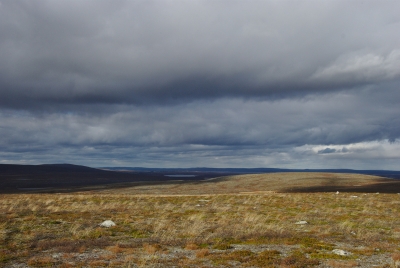 Olkovaara