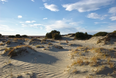 Sand dunes