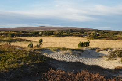 Sand dunes