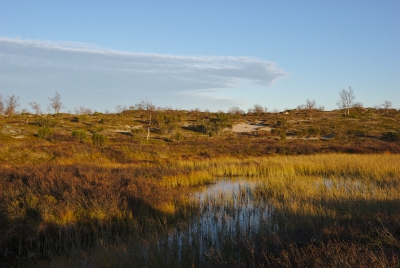Suomajoki