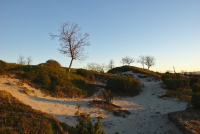 Sand dunes