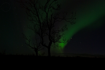 Northern lights