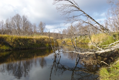 Suukisjoki