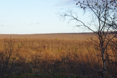 Korteoja autiotupa