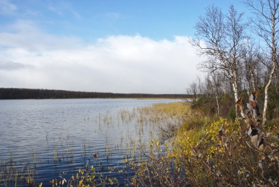 Naltijärvi