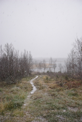 Snowfall