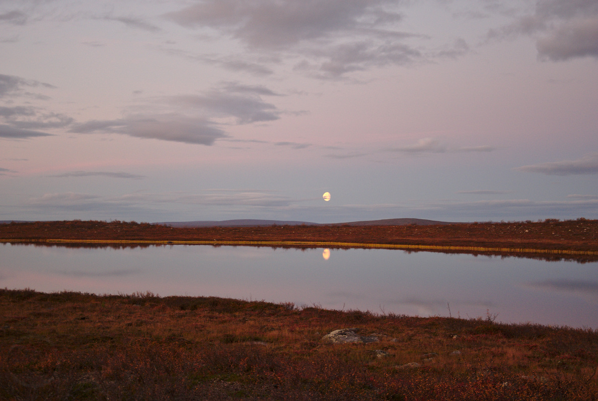 Moonrise
