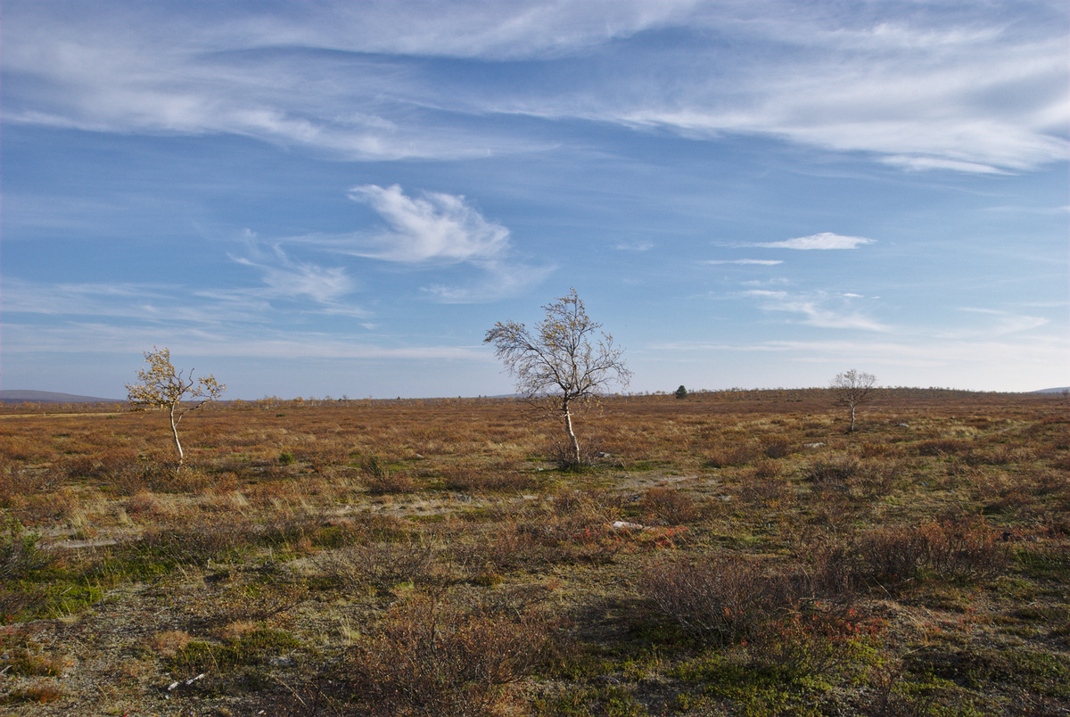 Late Summer and Early Winter – Hiking through the Pöyrisjärvi ...