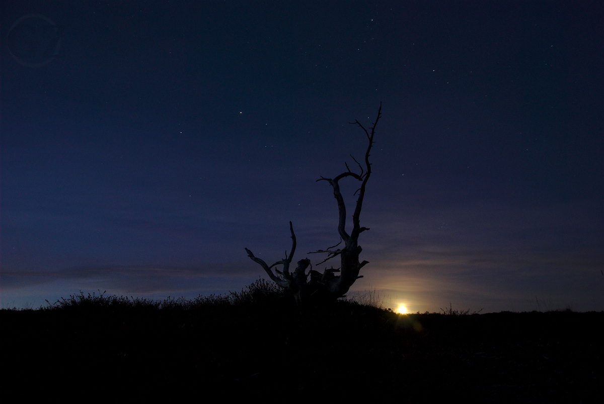 Moonrise