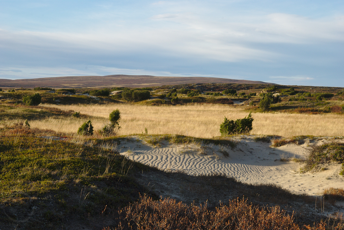Sand dunes