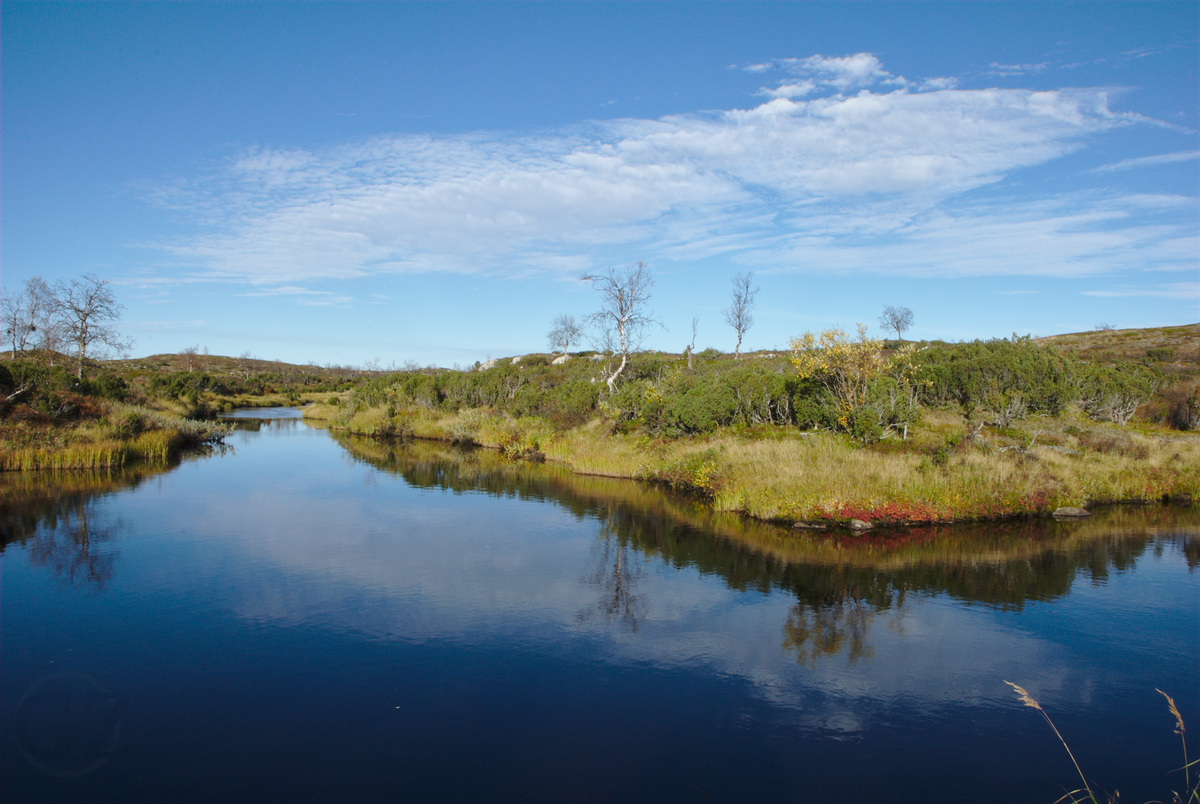 Suomajoki