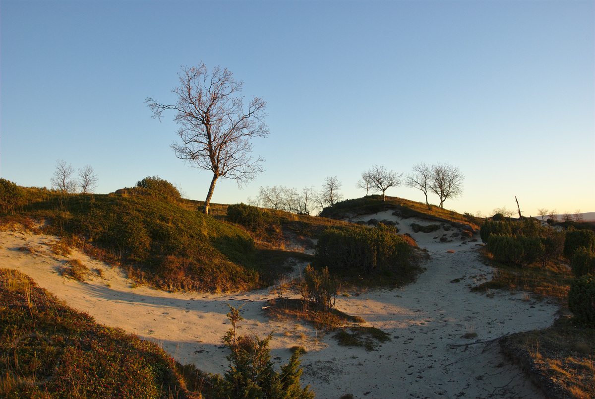 Sand dunes