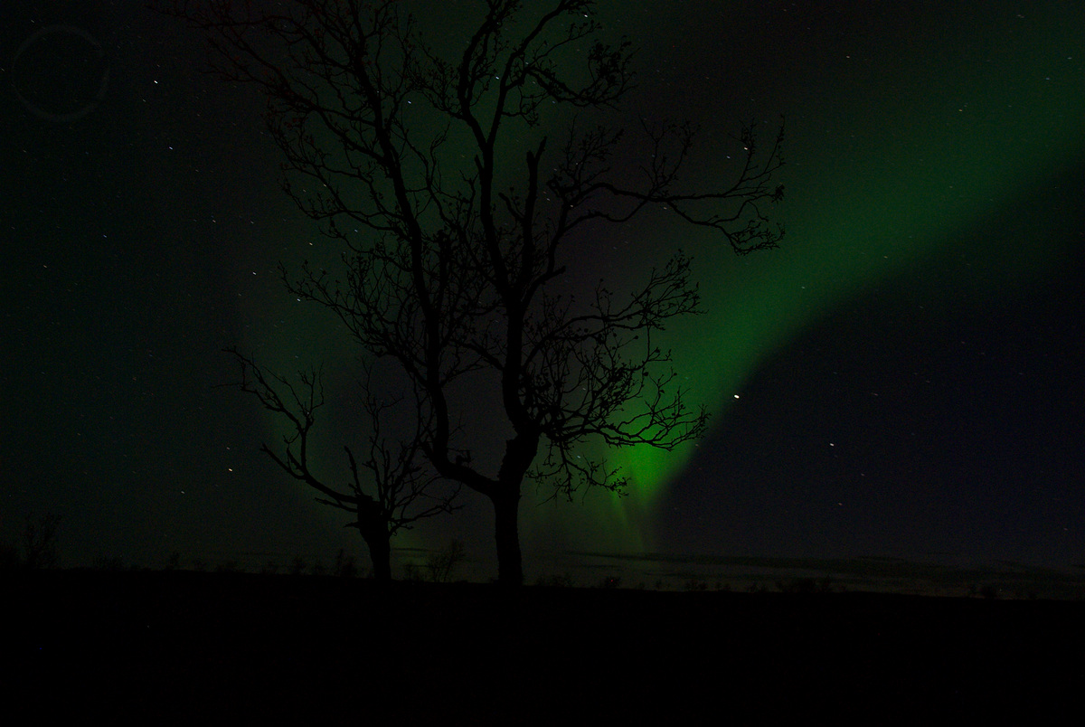 Northern lights