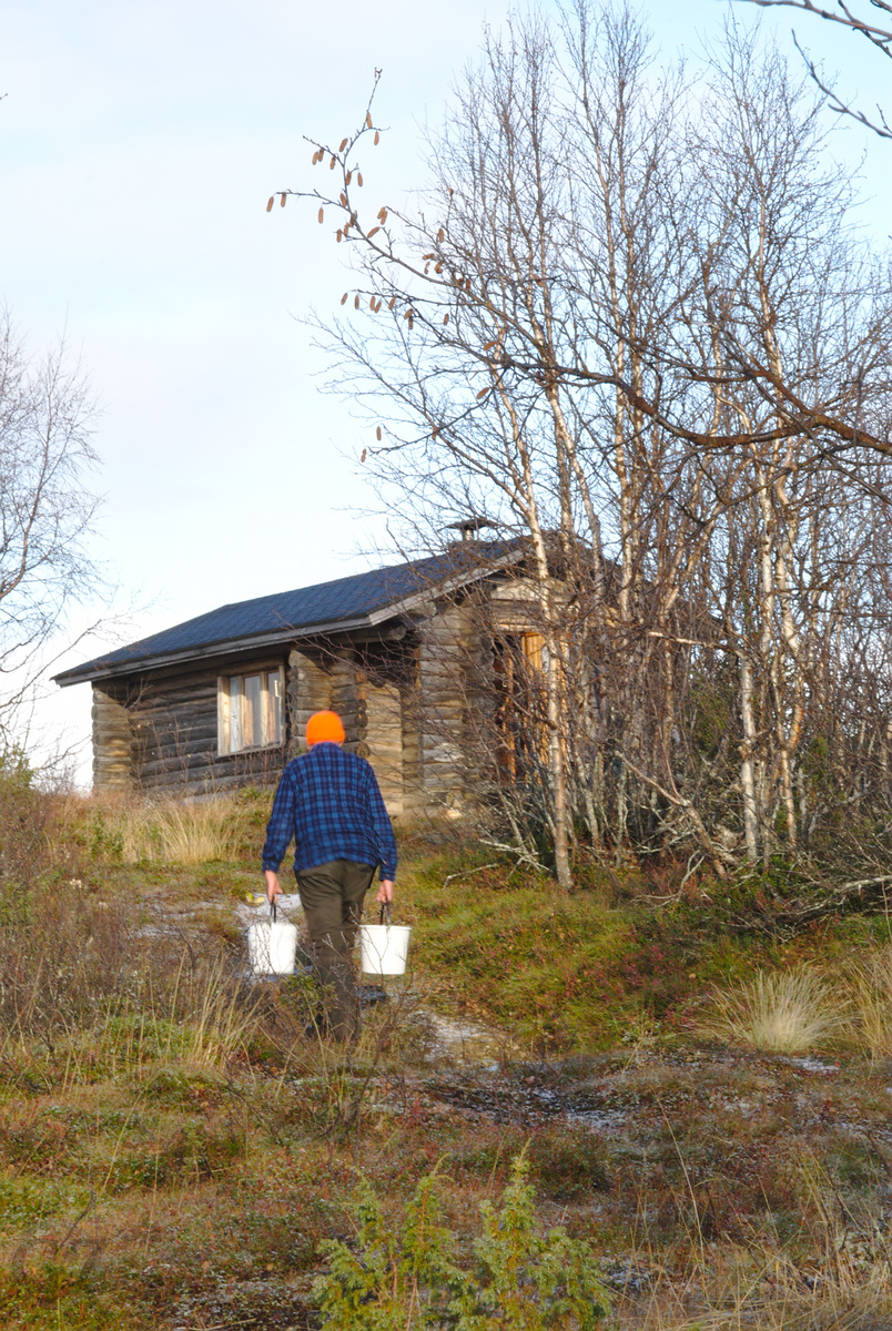 Naltijärvi autiotupa