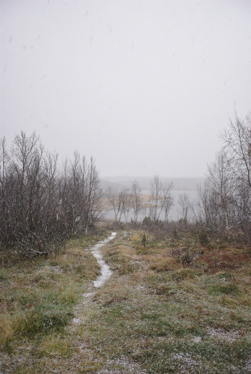 Snowfall