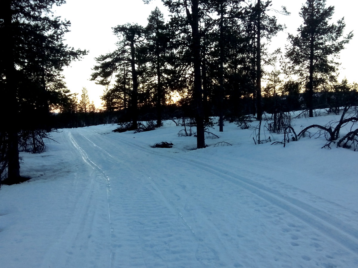 Icy skiing tracks
