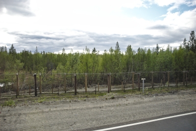 Double barb wire at Russian-Norwegian border