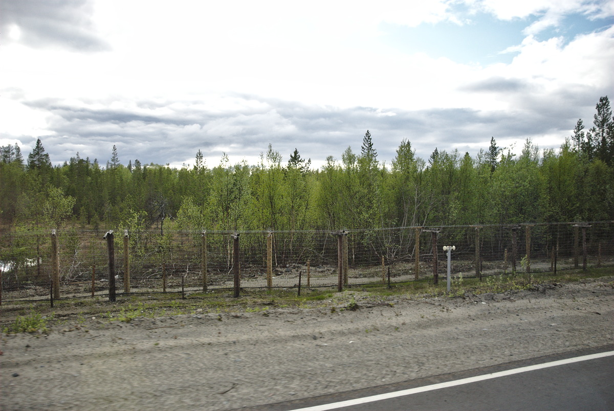 Double barb wire at Russian-Norwegian border