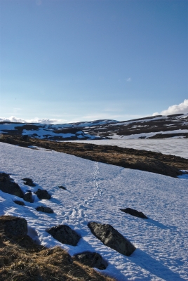 Hike around Saana