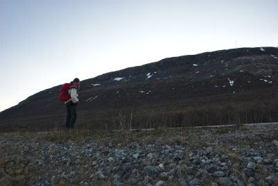 Walking along the road