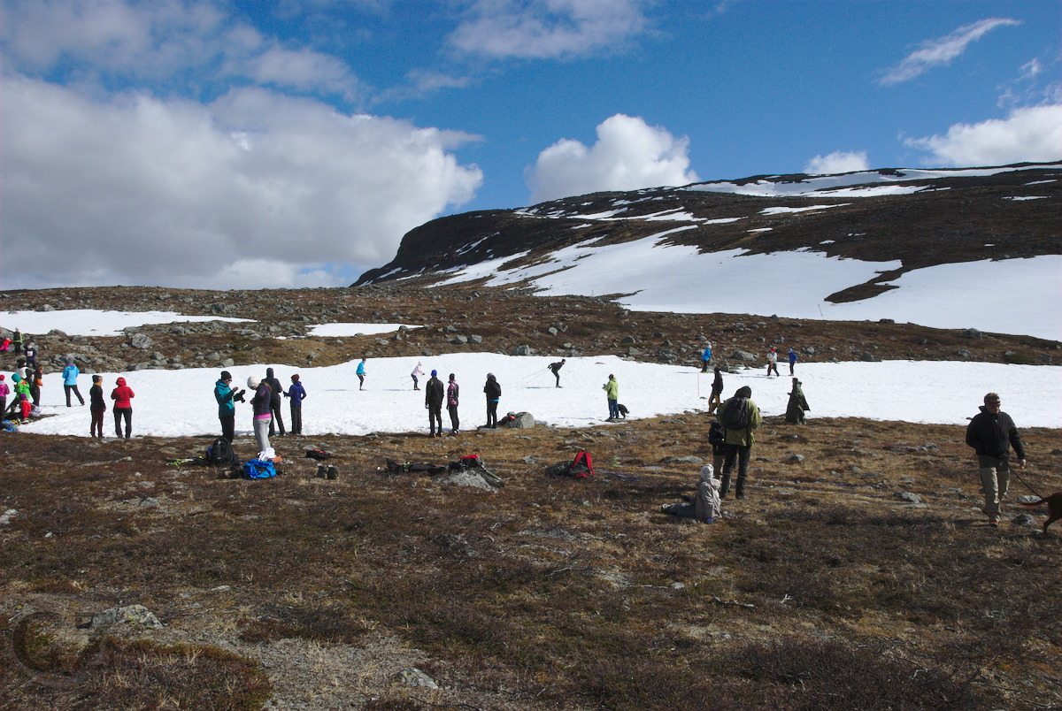 Midsummer Skiing