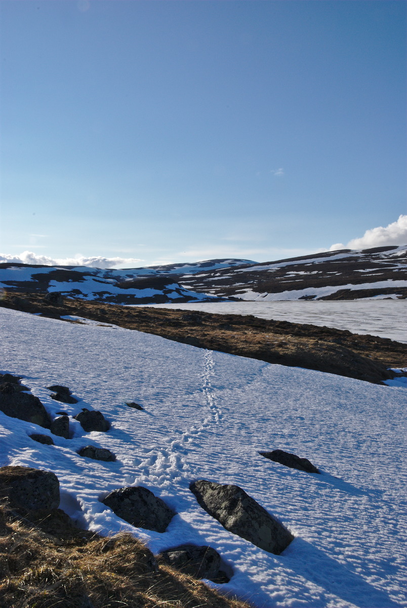 Hike around Saana