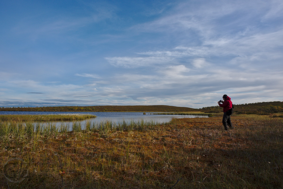 Photographer on swampy shoreline, taking pictures of an island