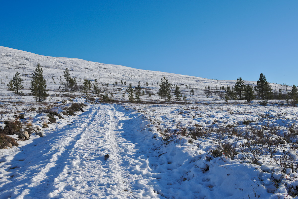 Trail on Pyhäkero